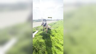 Dắt con cho cái ra đường đi dạo vú to lồn ngon cho người la xem dâm đãng kích thích