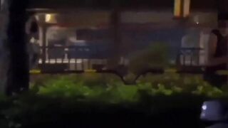 em gái nằm trong hộp bị các anh đi đường địt tập thể.