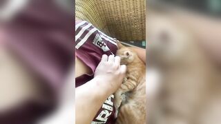 Em gái của năm