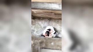 Vl thật 2 em nó nứng đến mức trốn học rủ nhau ra góc khuất địt nhau mới ghê