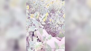 Public MỹHạnh giữa cánh đồng hướng dương