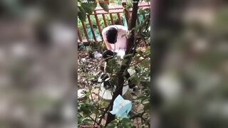 quay lén 2 em học sinh nđang dogy trong bụi