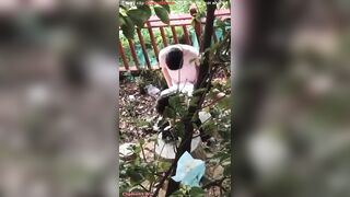 quay lén 2 em học sinh nđang dogy trong bụi