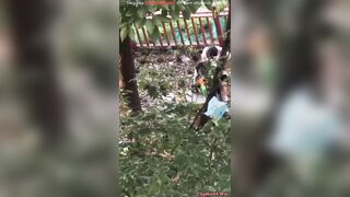 quay lén 2 em học sinh nđang dogy trong bụi