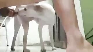 Grp sex 🐶