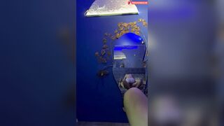 Bạn thân, T địt m cứ rên khẩu dâm đi, Hứa quay video ko đăng lên web sex