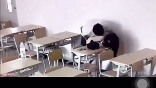 Nam thần cấp 3 móc lồn em Hs Lớp 10 trong lớp đái ra sàn