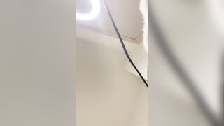 video_2025-12-28_01-39-41b