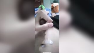 Em zai call sục với ny