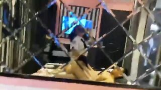 E học sinh trốn học đi nhà nghỉ bú cu đụ nhau quay video trước gương với a làm kĩniệm