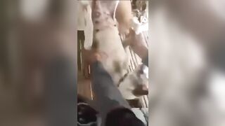 Nghe nhạc vui vẻ nhé