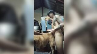 Nắc em chó già phê lút cán