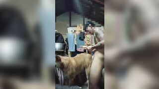Nắc em chó già phê lút cán
