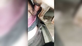 Có một sự phê pha không hề nhỏ