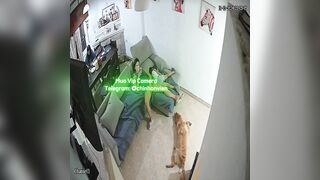 Hack Camera Máy Bay Móc Lồn Giữa Phòng Khách
