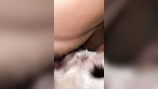 Thú cưng 24
