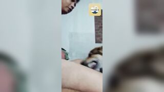 Tội con chó 🐶