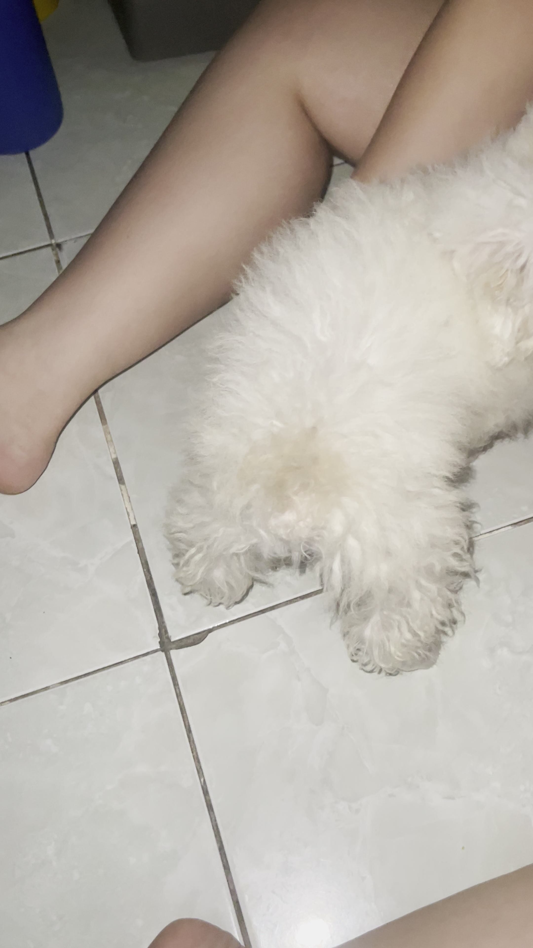 Sang trọ thăm nhỏ bạn Chuppy