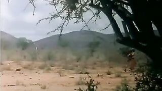 Tarzan