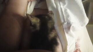 Con mèo sướng nhất thế giới được bú vú em vú to