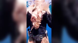 Đang bơi thì bị con mực nghịch dú