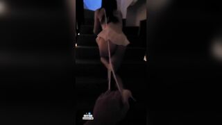 Dắt bé cún lên phòng