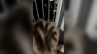 Nửa đêm, Thất tình, Gạ con bạn Vú Hồng Bú Cu Nuốt Tinh Trùng quay video mà ko cho djt