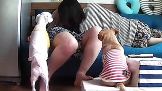 Bà dì hứng tình ham muốn tình dục cùng cháu 16 tuổi nứng lồn làm chuyện hơi khó hiểu
