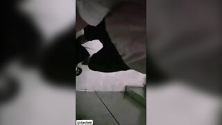 bắt con người yêu dâm bú cu luôn ở thang máy có cả cô giúp việc - phần 2