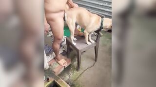 Bé vàng số hưởng