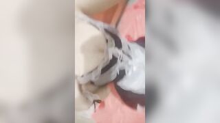 phi nhung 2k7 làm hầu gái tduc cho anh