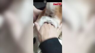 Zai trẻ Đjt *** “ kb chia sẻ video nha👇🏻
