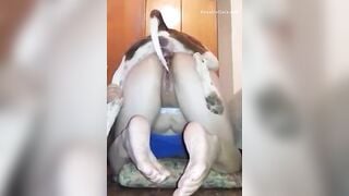 em gái cho cún địt 1 lần rồi nghiên luôn