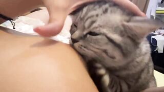 Cô chủ dâm dục cho mèo lồn bú vú, các bạn nữ nên học theo vì cực nứng 💦💦💦 (1)