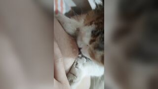Gái xinh dâm dục cho mèo lồn bú vú, các bạn nữ nên học theo vì cực nứng 🥵🥵🥵 (1)