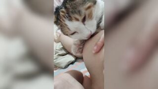 Gái xinh dâm dục cho mèo lồn bú vú, các bạn nữ nên học theo vì cực nứng 🥵🥵🥵 (2)