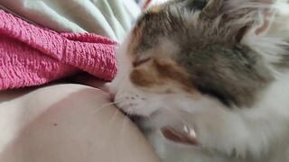 Gái xinh dâm dục cho mèo lồn bú vú, các bạn nữ nên học theo vì cực nứng 🥵🥵🥵 (3)