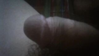 con cu cô đơn
