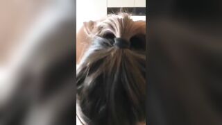 Liếm cà mút cu dâm đãng kích thích siêu dâm