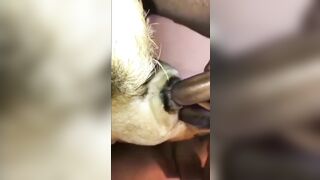 Tổng hợp những lần rút ra thú cưng
