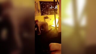 Huấn luyện salve chó cái