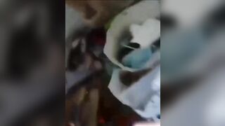 Bắt ghen tại trận tiểu tam là hàng xóm giựt ck ngkhac,ch kịp cởi quần đã bị bắt