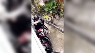 Học sinh nay bạo quá
