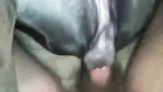 E cún