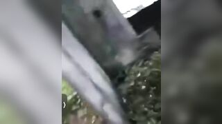 QUAY LÉN .CẶP ĐÔI PHANG NHAU LÉN LÚT TRONG NHÀ HOANG 😝