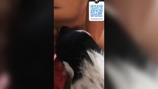 Thú cưng 27