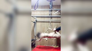 Chủ nhân huấn luyện con chó cái bằng roi