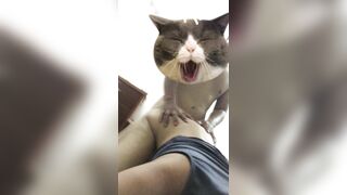 Bé sinh viên 2k5 vú hồng bướm lúc nào cũng chảy nước vì thèm chịch