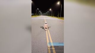 Miethichnude em teen Việt dâm nữa đêm khỏa thân lái xe ra đường show hàng dâm