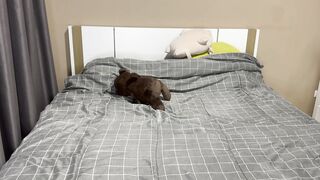 Bé học sinh châu Á bị chim Tây đụ đít cực mạnh